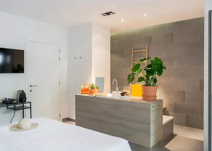 Marcel De Business & Travel Bed & Breakfast Ghent